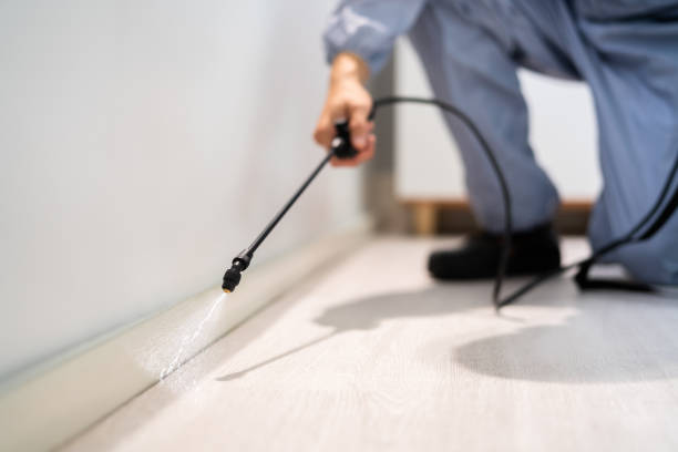 Licensed Termite Control service in SeaTac, WA - Nex Pest Control