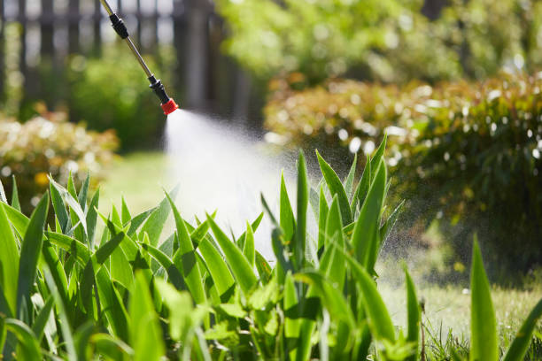 24/7 Emergency Termite Control experts in SeaTac, WA