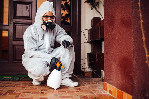 Reliable Termite Control contractor in SeaTac, WA by Nex Pest Control