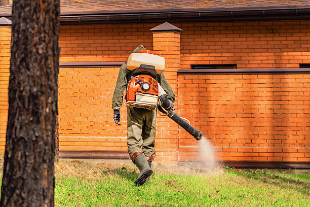 Trusted Rodent Control service in SeaTac, WA - Nex Pest Control